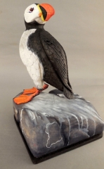 Attlantic Puffin by Harvey Boorne