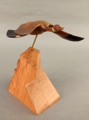 Caoose by Heinrich Boehringer