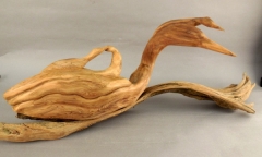 Loons by Trudy Culhane