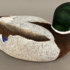 Mallard by Les Chatham