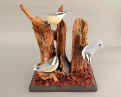 Nuthatches by Peter Husistein