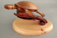 Turtle y Steve Notta