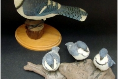 BlueJays by Betty Baumgartner