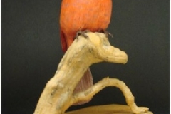 Cardinal by Betty Baumgardner