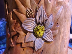 Manitoba Prairie Crocus IMG_8420 (Large) - Copy - Copy