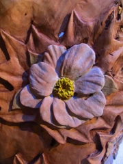 Northwest Territories Mountain Avens IMG_8427 (Large) - Copy - Copy