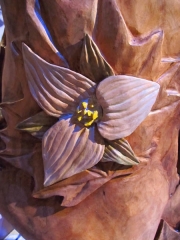 Ontario Trillium IMG_8431 (Large) - Copy - Copy