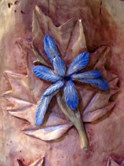 Quebec Blue Flag Iris IMG_8421m (Large) - Copy - Copy