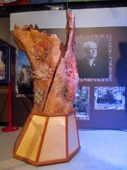 whole tree 2 IMG_8436 (Large) - Copy