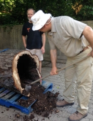 2014-06-27 08.42.27 (490x640)