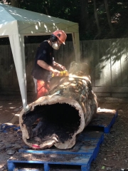 2014-06-27 09.38.52-1 (481x640)