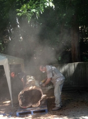 2014-06-27 09.45.34-2 (478x640)