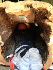 2014-06-27 12.05.33-1 (480x640)