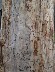 2014-07-10 16.06.25 (487x640)