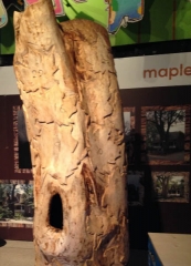 2014-07-18 15.56.45 (461x640)