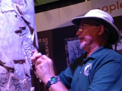 2014-07-20 13.44.42-1 (640x479)