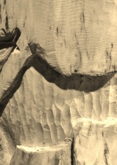 2014-07-20 13.45.39 (453x640)