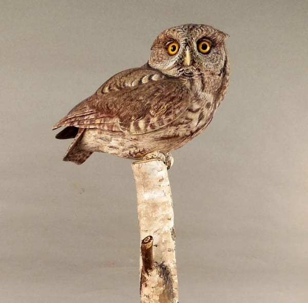 Screech Owl by Winston Smith